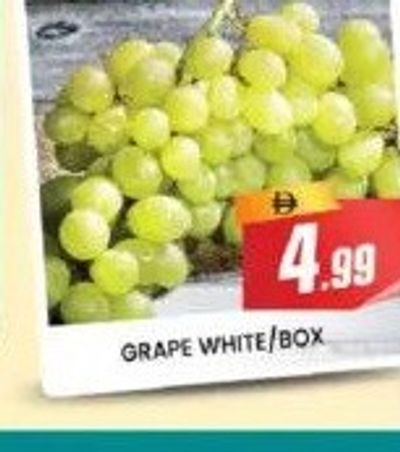 GRAPE WHITE/BOX