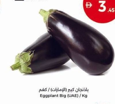 Eggplant Big (UAE) / Kg