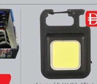 SENCOR KEY CHAIN LIGHT SN7120