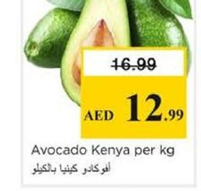 Avocado Kenya per kg