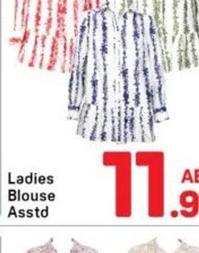 Ladies Blouse Asstd