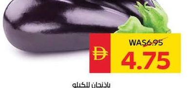Eggplant Per Kg