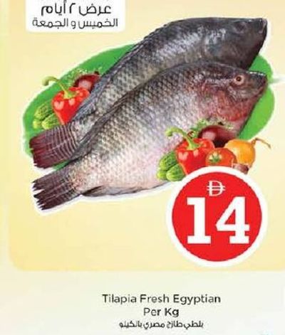 Tilapia Fresh Egyptian Per Kg
