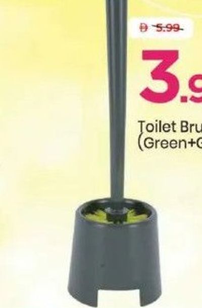 Toilet Brush with Holder (Green+Grey)
