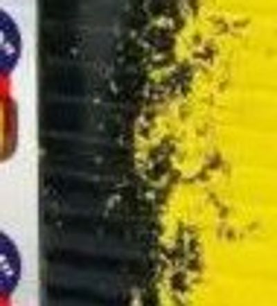 Printedtrolley Bag Asstd (Small)