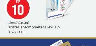 Trister Thermometer Flexi Tip TS-210TF