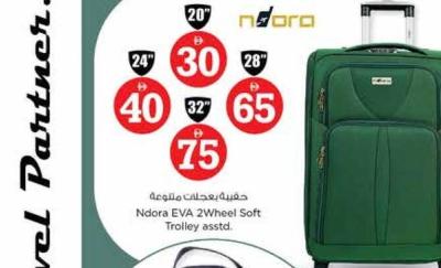 Ndora EVA 2Wheel Soft Trolley asstd.