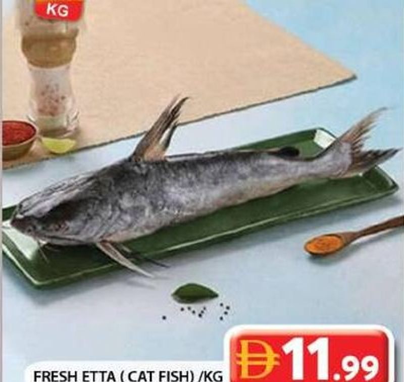 Fresh Etta (Cat Fish) /KG