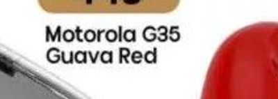 Motorola G35 Guava Red