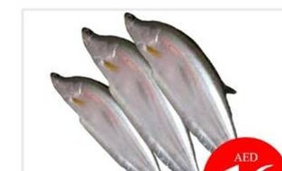 Simsek Invite Donut Cocoa Sauce /Strawbry 6x40gm