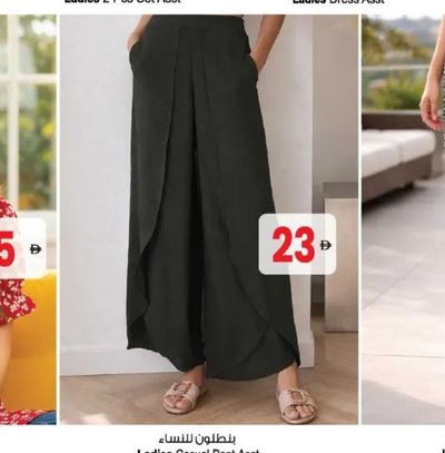 Ladies Casual Pant Asst