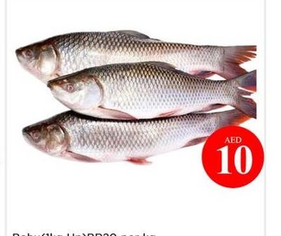 Rohu (1kg Up) BR20 per kg