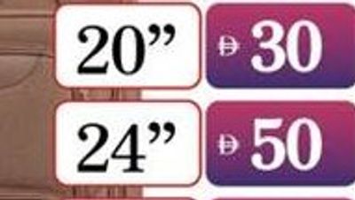 2Wheel Soft Trolley 24" asstd.