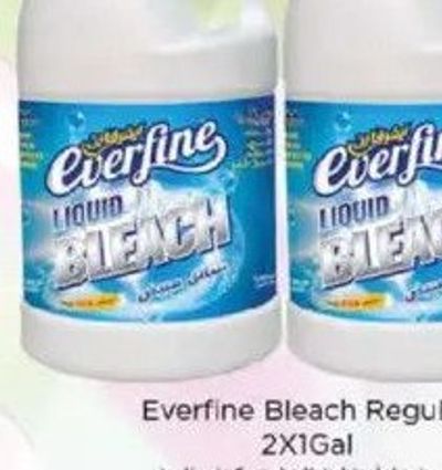 Everfine Bleach Regular 2x1Gal