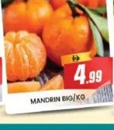 MANDRIN BIG/KG