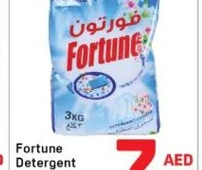 Fortune Detergent Powder 1x3kg