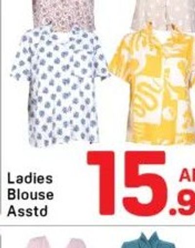 Ladies Blouse Asstd