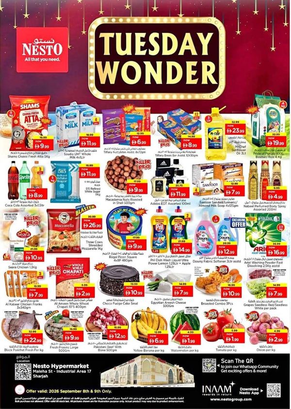 Tuesday Wonder