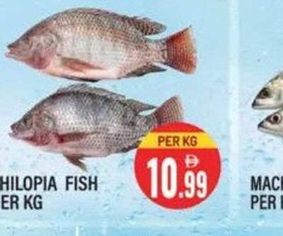 Thilopia Fish Per KG