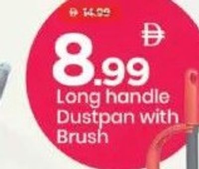 Long handle Dustpan with Brush