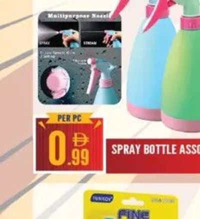 Spray Bottle Assorted