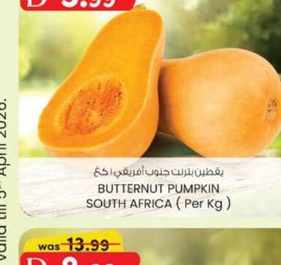 BUTTERNUT PUMPKIN SOUTH AFRICA (Per Kg)