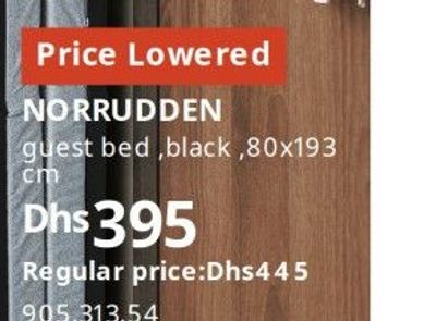 NORRUDDEN guest bed, black, 80x193 cm