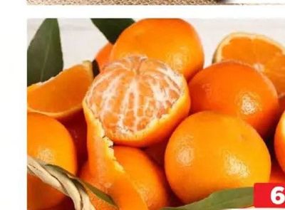 Sandra Orange Per Kg