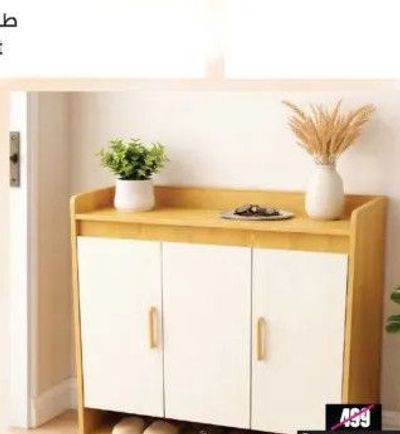 Shoes Cabinet 3 Door Asst.