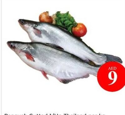 Pangush Gutted 1/Up Thailand per kg