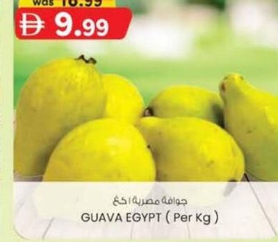 GUAVA EGYPT (Per Kg)