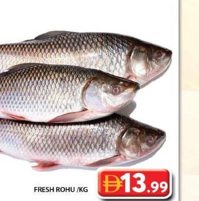 Fresh Rohu /KG