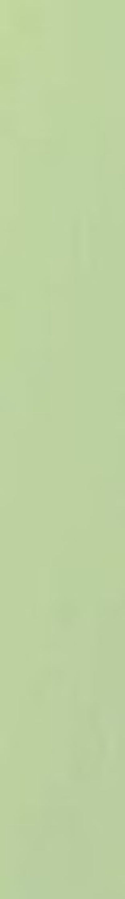 COCONUT COOKIES (Per Kg)