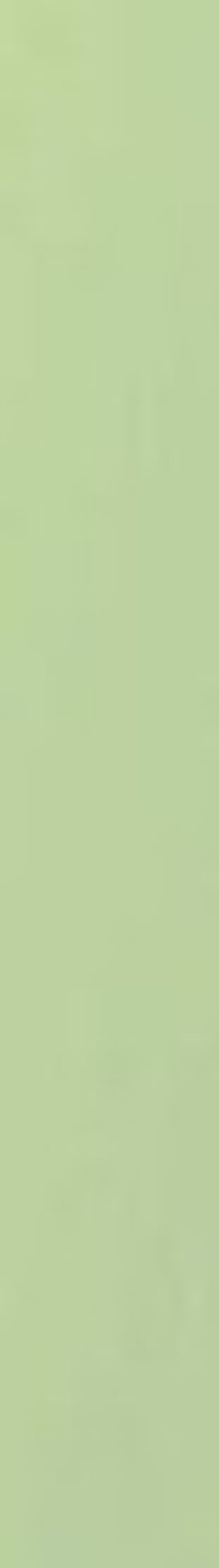 COCONUT COOKIES (Per Kg)