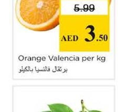 Orange Valencia per kg