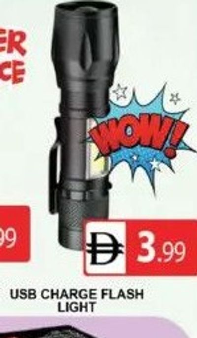 USB CHARGE FLASH LIGHT