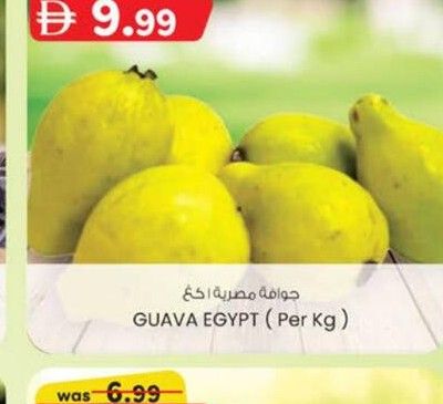 GUAVA EGYPT (Per Kg)