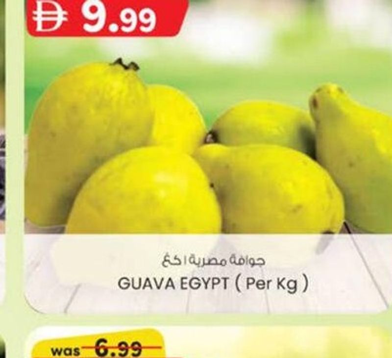 GUAVA EGYPT (Per Kg)
