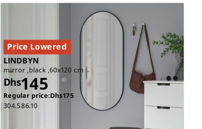 LINDBYN mirror, black, 60x120 cm