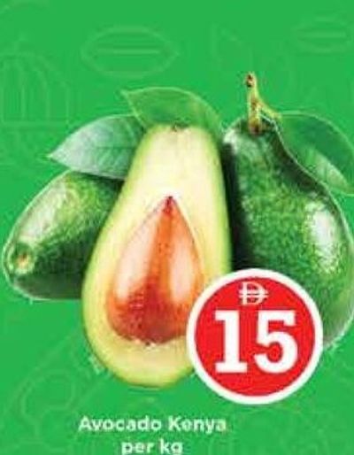 Avocado Kenya per kg