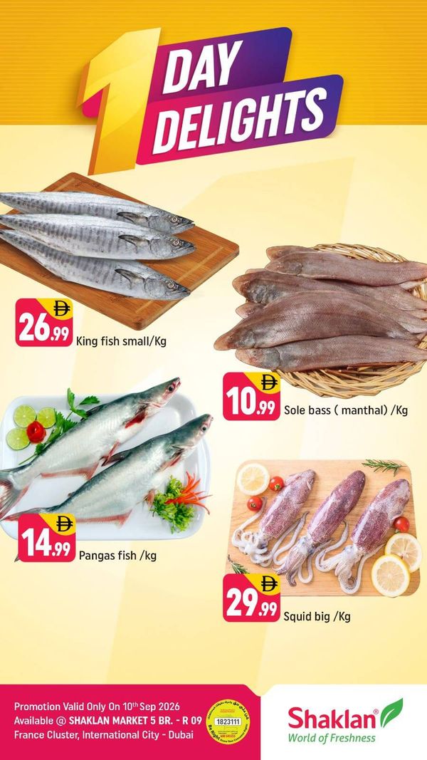 One Day Delights