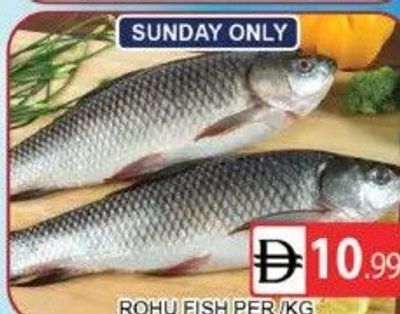 Rohu Fish Per /KG