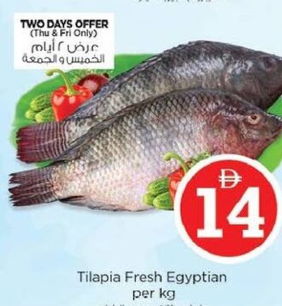 Tilapia Fresh Egyptian per kg