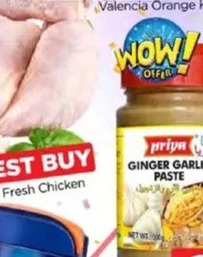 Priya Ginger/Garlic Paste 300 Gm X 2