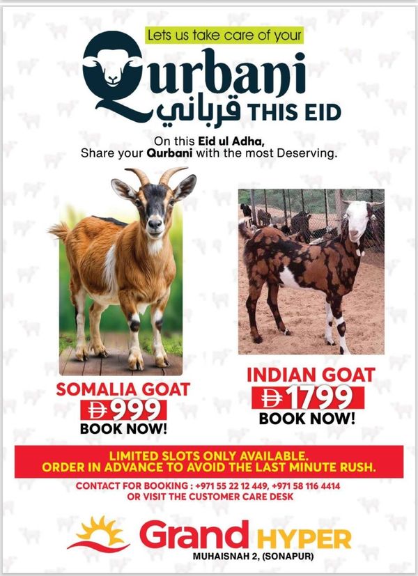 Qurbani This Eid