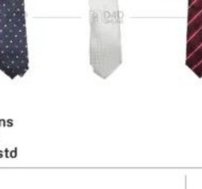 Mens Tie Asstd