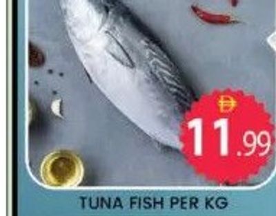TUNA FISH PER KG