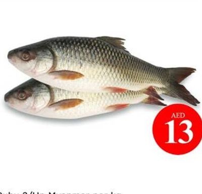 Ruhu 2/Up Myanmar per kg