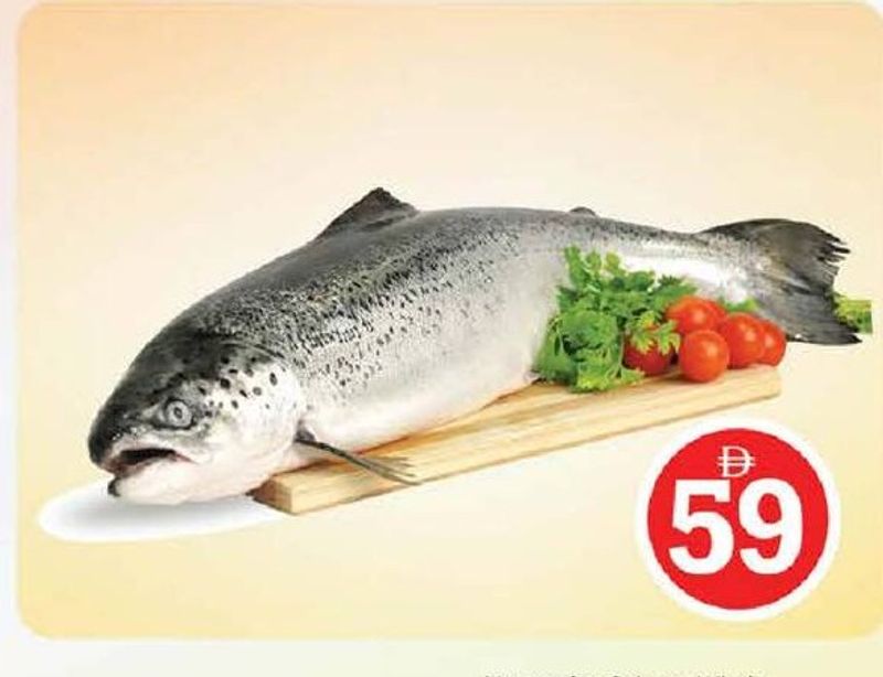 Norwegian Salmon Whole Per Kg
