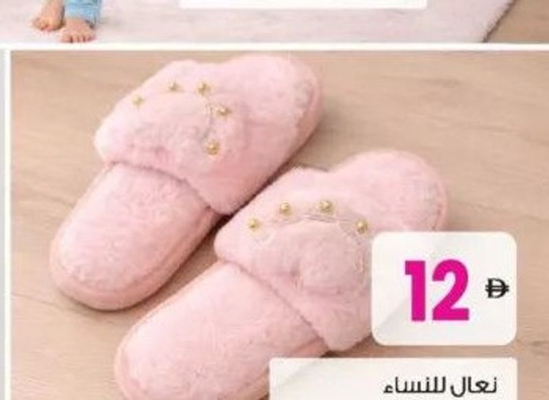 Ladies Slipper Asst.